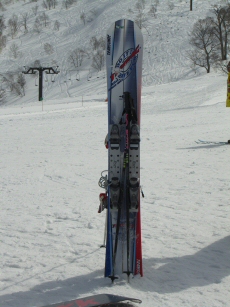 mono Ski